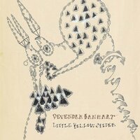 Sunrise (A Long Time Ago) - Devendra Banhart