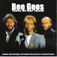 I Don't Think Its Funny - Bee Gees