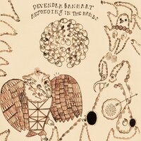 There Was the Sun - Devendra Banhart