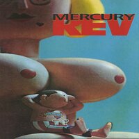 Downs Are Feminine Balloons - Mercury Rev
