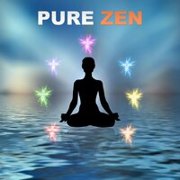 Divine Spa - Meditation Zen Master