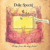 Ballad Of A Broken Man - Duke Special