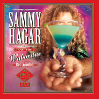 Don't Fight It (Feel It) - Sammy Hagar