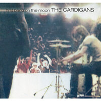 Great Divide - The Cardigans