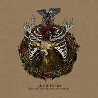 Seed - Lux Interna