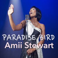 You Really Touched My Heart - Amii Stewart