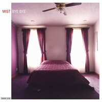 Relapse in Time - MIST