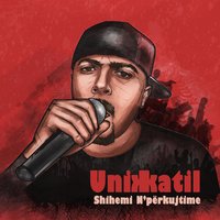 Prishtinalít Numër Njô - Unikkatil