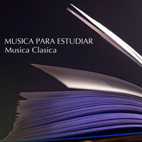 Bach - Jesus mein freund jesu, joy of man's desire musica clasica para escuchar - Musica Para Estudiar Academy