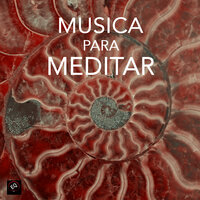 Infinita Bondad - Terapias con Sonidos - Musica Para Meditar