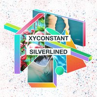 Silverlined - XYconstant
