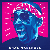 Splinters - Shal Marshall