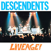 I Don't Wanna Grow up - Descendents