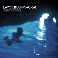 Vinyl - Layo & Bushwacka!