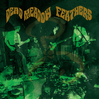 Heaven - Dead Meadow