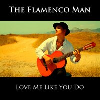 Love Me Like You Do - The Flamenco Man