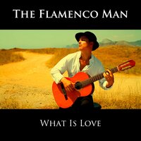 What Is Love - The Flamenco Man