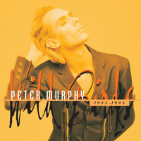 The Scarlet Thing in You - Peter Murphy