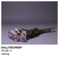 Raining - Kallitechnis, ROMderful