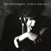 Sweet Thing - The Waterboys
