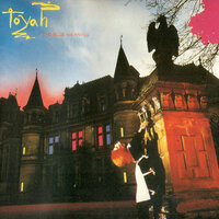 Insects - Toyah