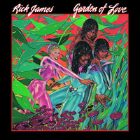 Gettin' It On (In The Sunshine) - Rick James