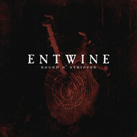 Curtained Life - Entwine