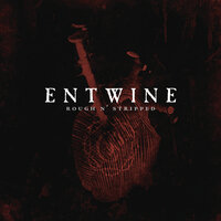 Strife - Entwine