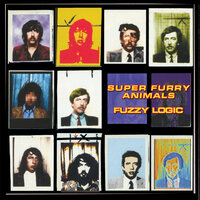For Now and Ever - Super Furry Animals