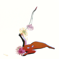 Ancient Water - Future Islands