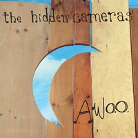 Wandering - The Hidden Cameras