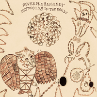 Insect Eyes - Devendra Banhart