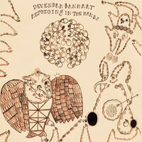 Autumn's Child - Devendra Banhart