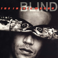 Blind - The Icicle Works