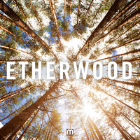 Begin By Letting Go - Etherwood