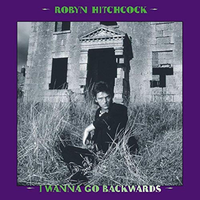 Shimmering Distant Love - Robyn Hitchcock