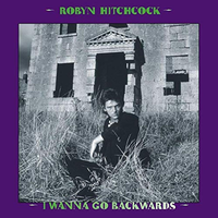 Glass Hotel - Robyn Hitchcock