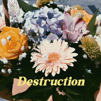 Destruction - Vlad Holiday