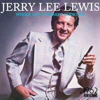 Drinkin' Wine Spo-Dee-O-Dee - Jerry Lee Lewis