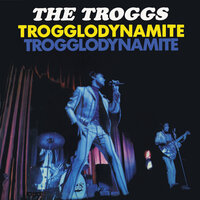 It's Too Late - The Troggs