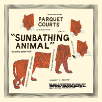 She's Rolling - Parquet Courts