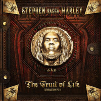 Thorn Or A Rose - Stephen Marley, Black Thought
