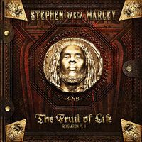 When She Dances - Stephen Marley, Pitbull