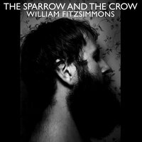 I Don't Feel It Anymore (Song of the Sparrow) - William Fitzsimmons