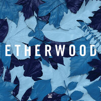 Sunlight Splinters - Etherwood