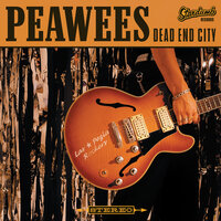'Cause You Don't Know Me - The Peawees