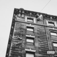 The Vibes - Apollo Brown, Skyzoo