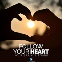 Follow Your Heart (Your Brain Is Stupid) - 