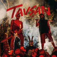 Tavşan - Anıl Piyancı