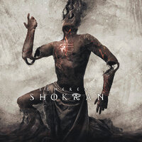Shadows - Shokran